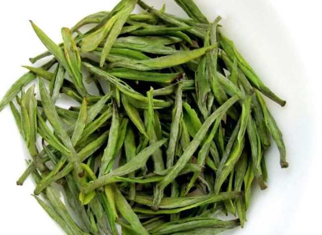 新鄉封丘縣安吉白茶專賣店,封丘安吉白茶【價格、圖片、地址、聯系方式】