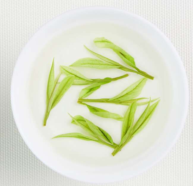 新鄉長垣市安吉白茶專賣店，長垣安吉白茶【價格、圖片、地址、聯系方式】