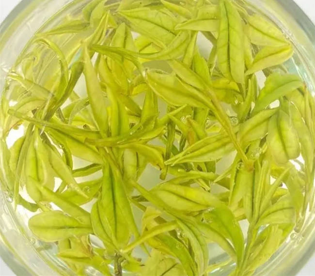 上海市奉賢區安吉白茶專賣店,奉賢區安吉白茶【價格、圖片、地址、聯系方式】