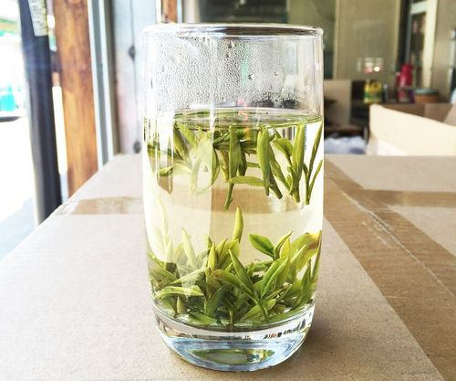 嚴格意義上安吉白片價格,安吉白片多少錢一斤