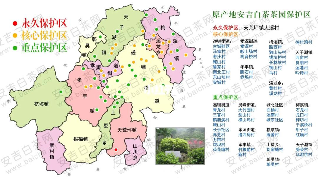 浙江安吉白茶核心產區有哪些,原產地安吉白茶產區劃分