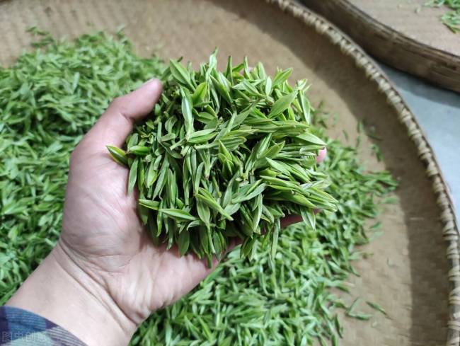 安徽云霧茶，岳西翠蘭的功效與作用有哪些