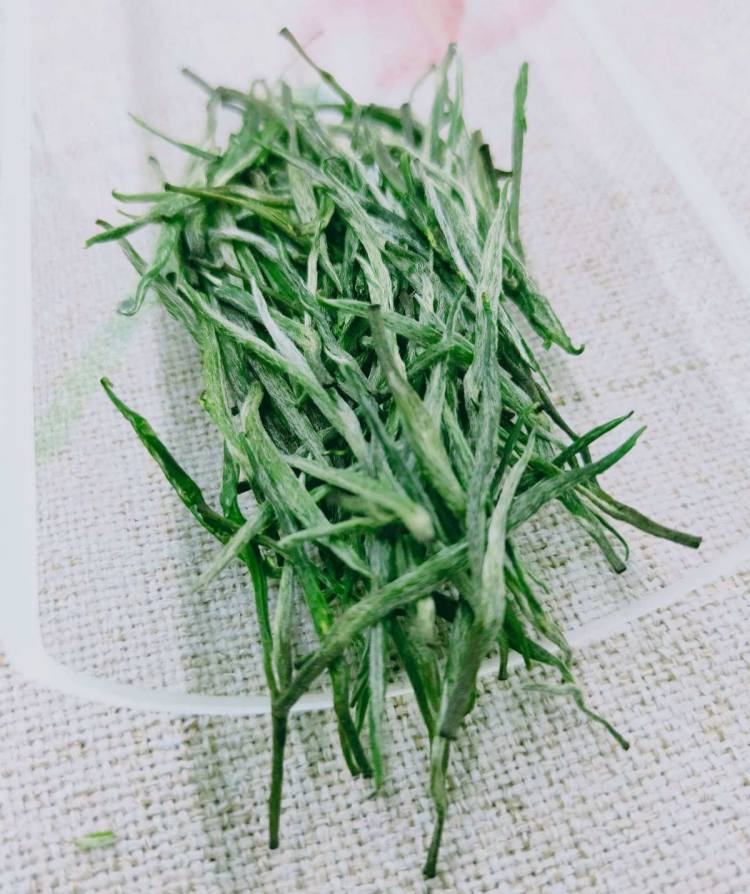 湖南安化松針簡介，安化松針茶圖片介紹