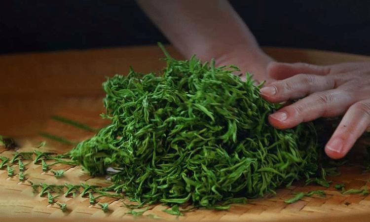 湖南安化松針簡介，安化松針茶圖片介紹