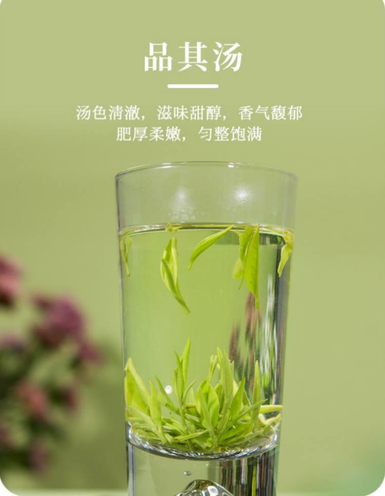 湖南安化松針簡介，安化松針茶圖片介紹