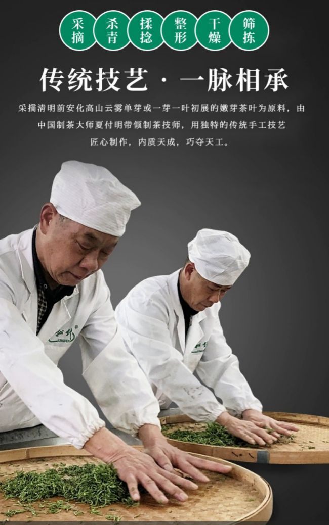 安化松針茶品牌有哪些，正宗安化松針茶價格多少錢一斤