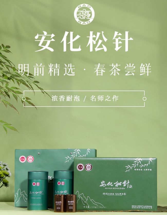 安化松針茶屬于什么茶，湖南特產安化松針茶簡介