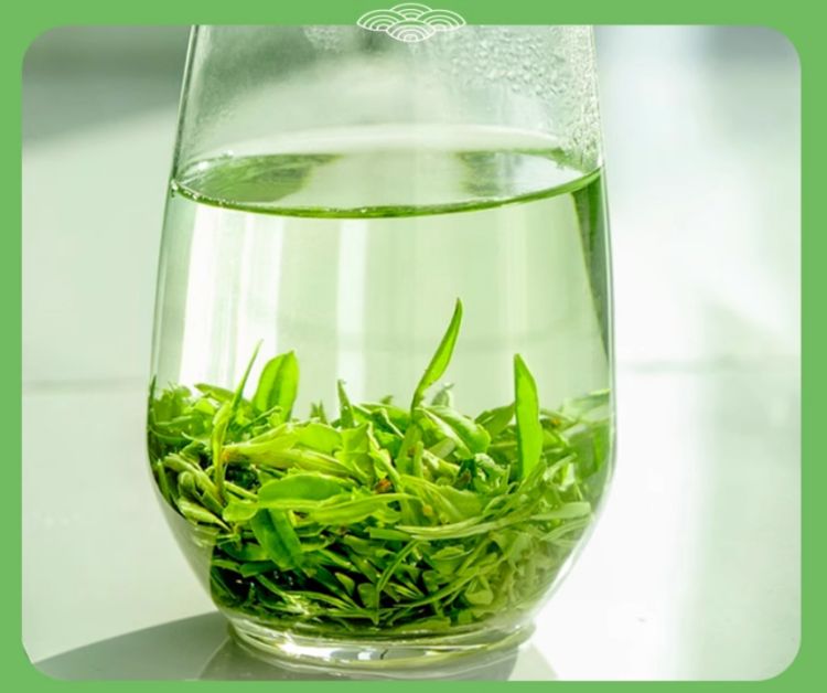 廬山云霧茶的功效與作用有哪些,江西廬山云霧茶怎么樣