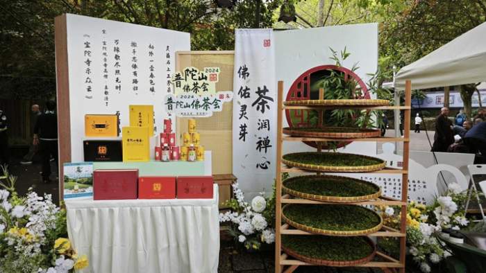 浙江普陀佛茶屬于什么茶,舟山普陀山云霧茶歷史由來簡介