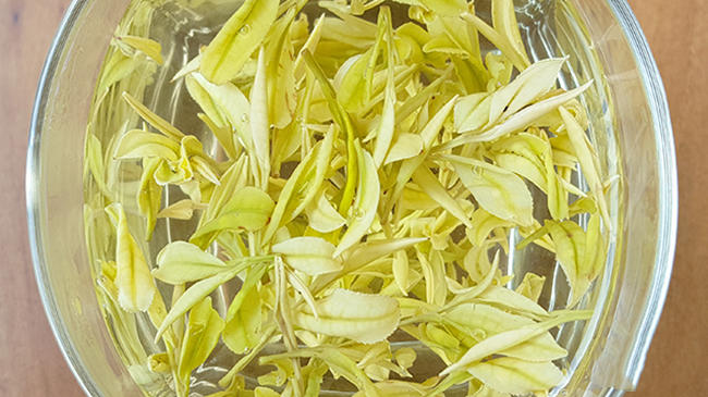 安吉奶白茶皇金芽屬于什么茶,皇金芽價格多少錢一斤