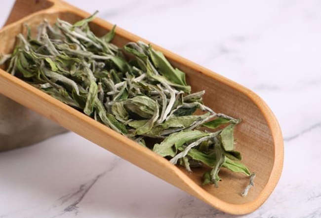 【福鼎白茶種類】白毫銀針茶、白牡丹茶、壽眉茶的區別有哪些