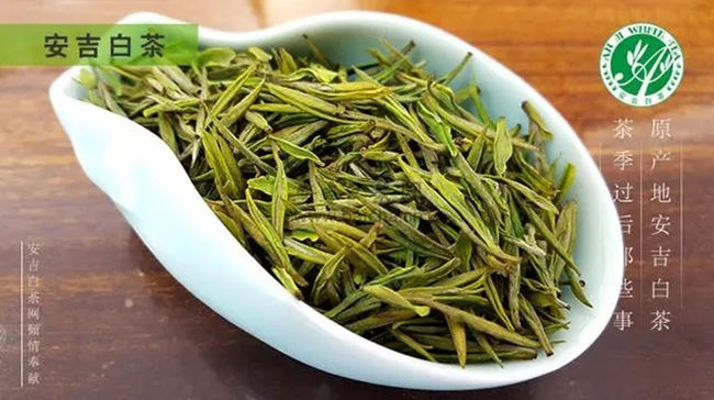 安吉白茶、安吉奶白皇金芽、黃金芽、黃金葉怎么區別