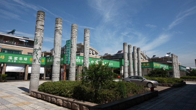 溪龍安吉白茶青葉交易市場地址,安吉白茶青葉在哪里交易