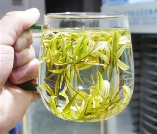 安吉白茶營養價值,安吉白茶的功效與作用有哪些