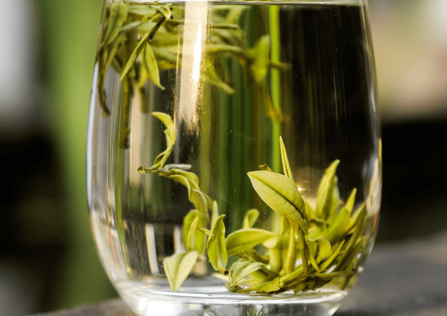 福鼎白茶、安吉白茶、云南月光白的區別有哪些,白茶是什么茶