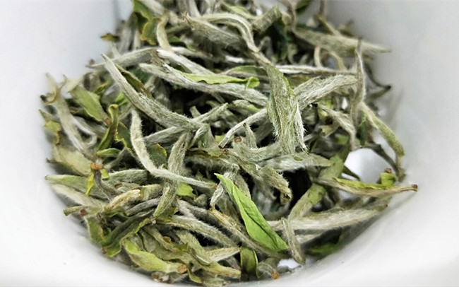 福鼎白茶、安吉白茶、云南月光白的區別有哪些,白茶是什么茶