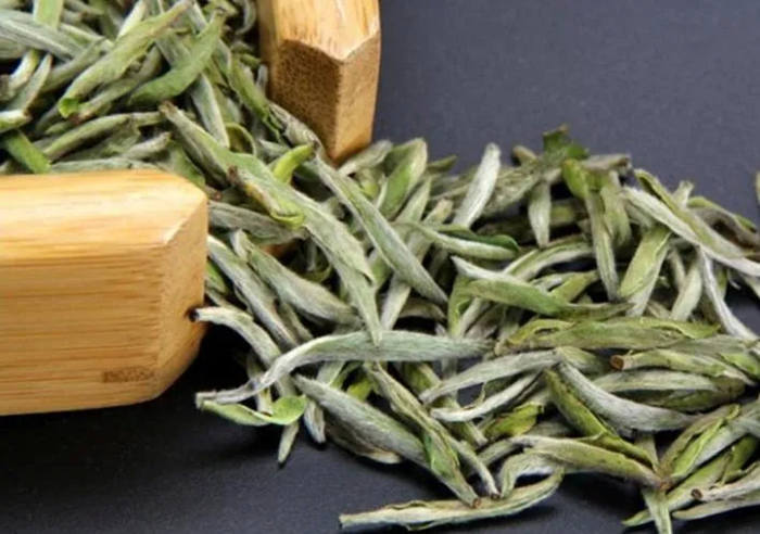 白茶的功效與作用介紹,白茶的副作用有哪些