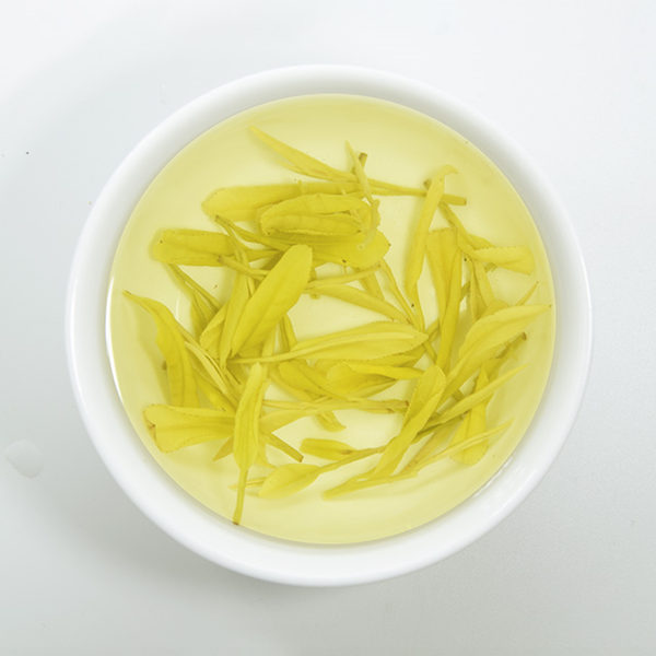 白葉一號安吉白茶屬于什么茶,安吉白茶是白茶還是綠茶