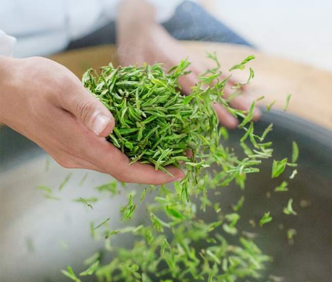 南京特產雨花茶，江蘇雨花茶圖片怎么樣介紹