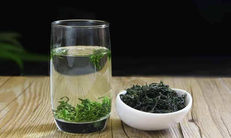 西山茶品牌有哪些，桂平西山茶價格多少錢一斤