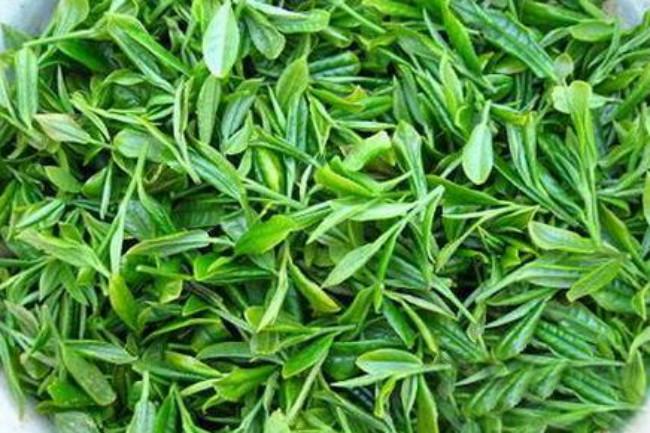 福建天山綠茶怎么樣,天山綠茶圖片簡介