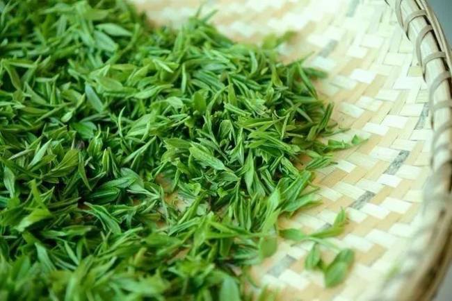 昆明寶洪茶怎么樣，云南特產寶洪茶圖片介紹