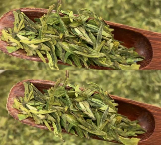 昆明寶洪茶怎么樣，云南特產寶洪茶圖片介紹