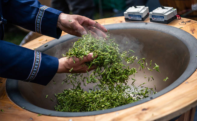 惠明茶屬于什么茶，浙江惠明茶歷史由來簡介