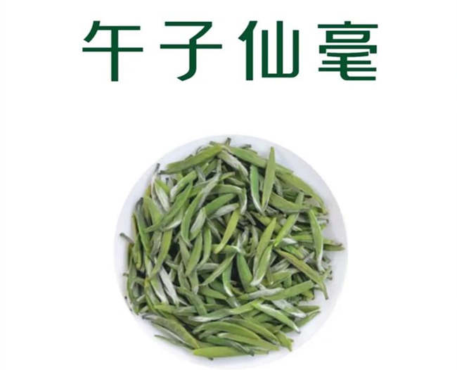 午子仙毫茶生長環境怎么樣，漢中特產午子仙毫茶核心產區在哪里