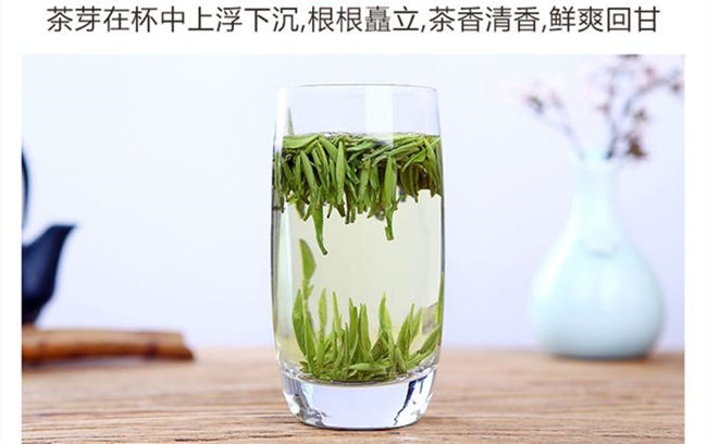 午子仙毫茶屬于什么茶，陜西茗茶午子仙毫茶歷史由來簡介