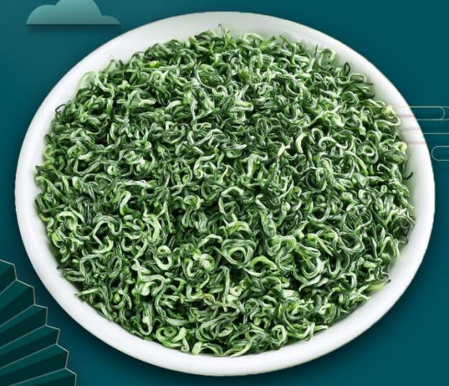 貴州茗茶都勻毛尖茶怎么樣,黔南都勻毛尖茶圖片簡介