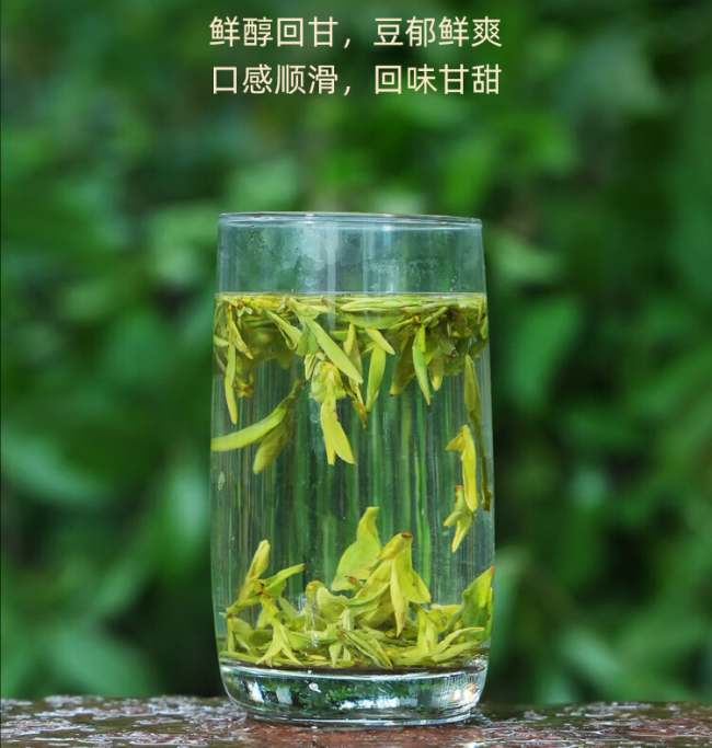 綠茶大佛龍井茶的沖泡方法，大佛龍井茶怎么泡茶好喝