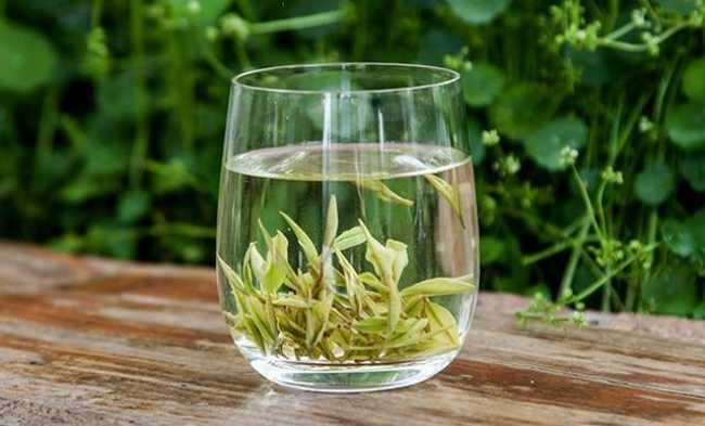 南京玄武區安吉白茶專賣店，玄武區安吉白茶【圖片、價格、原產地】