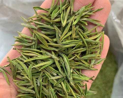 南京江寧區安吉白茶專賣店，江寧區安吉白茶【圖片、價格、原產地】