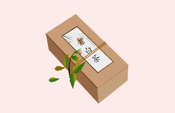 福鼎老白茶屬于什么茶,老白茶科普簡介