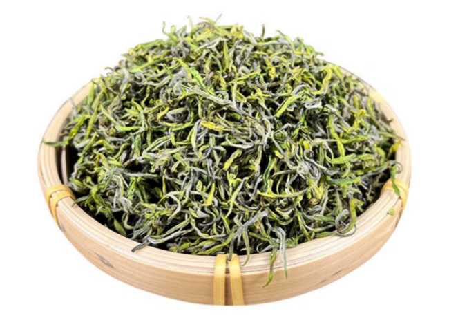 德清莫干黃芽怎么樣,黃茶莫干黃芽圖片簡介