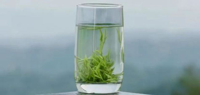 浙江武陽春雨茶怎么樣,金華武陽春雨茶圖片簡介