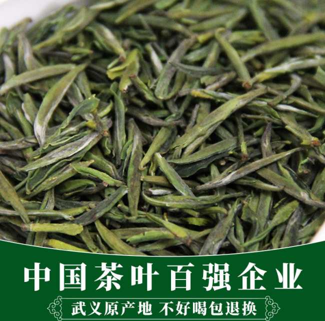 武陽春雨的功效與作用，武陽春雨茶的營養價值有哪些