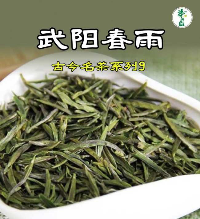 武陽春雨茶屬于什么茶,浙江武陽春雨歷史由來簡介
