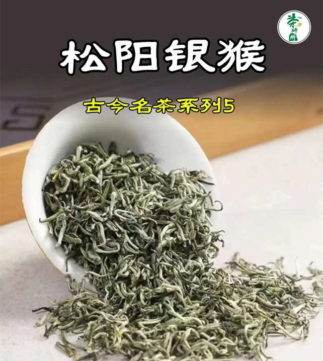 松陽銀猴怎么樣，浙江名茶松陽銀猴圖片簡介