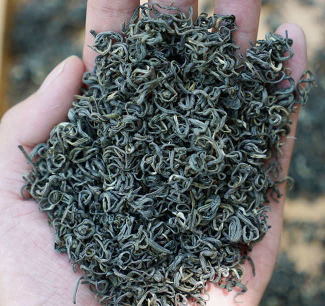 松陽銀猴怎么樣，浙江名茶松陽銀猴圖片簡介