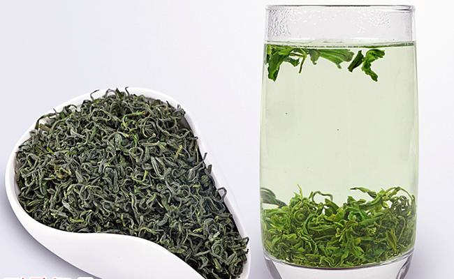 松陽銀猴怎么樣，浙江名茶松陽銀猴圖片簡介