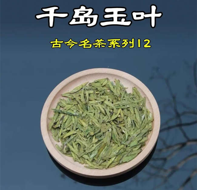 淳安千島湖龍井茶怎么樣，浙江千島玉葉茶圖片簡介