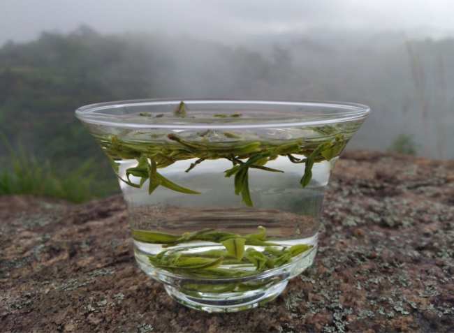 華頂云霧茶的保存方法，華頂云霧茶怎么儲存好