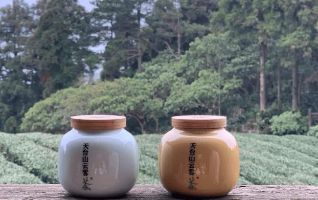 華頂云霧茶怎么樣，浙江華頂云霧茶圖片簡介