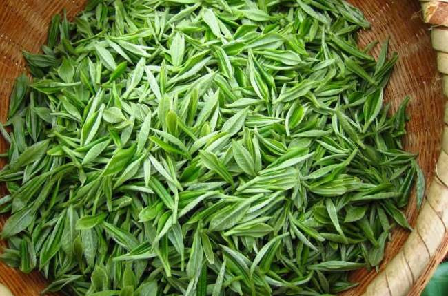 浙江華頂云霧茶屬于什么茶，天臺山云霧茶怎么樣