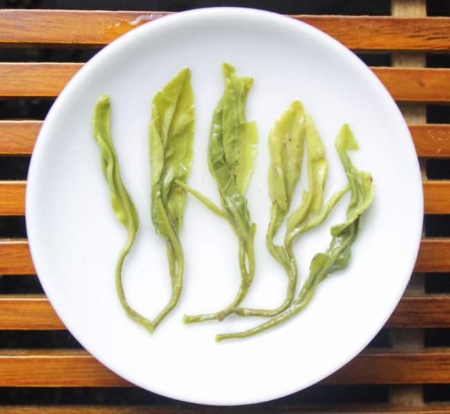 嵊州泉崗輝白茶怎么樣，浙江泉崗輝白茶圖片簡介