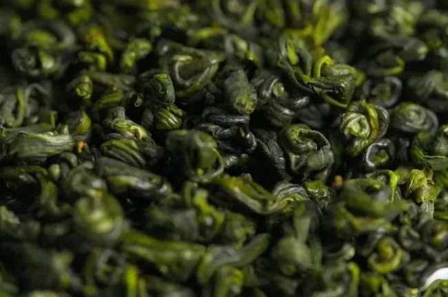 平水珠茶屬于什么茶,浙江平水珠茶歷史由來簡介