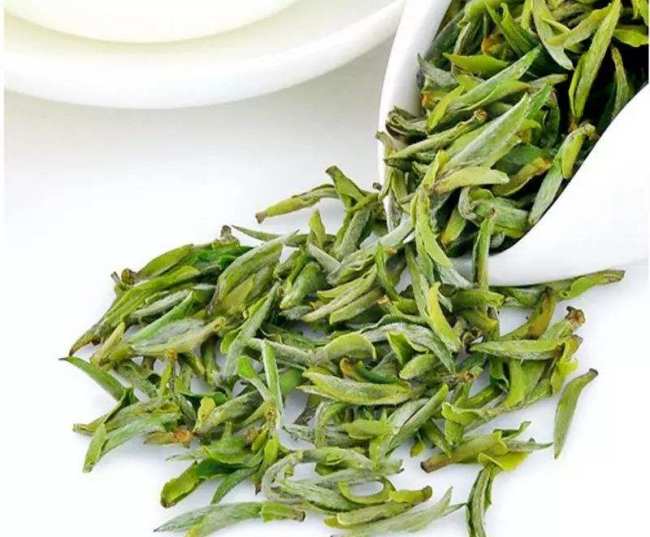 浙江蘭溪毛峰茶怎么樣，金華蘭溪毛峰茶圖片簡介