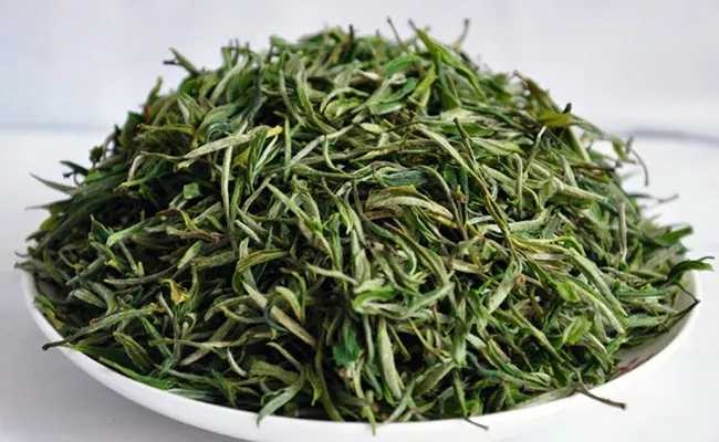 浙江蘭溪毛峰茶怎么樣，金華蘭溪毛峰茶圖片簡介